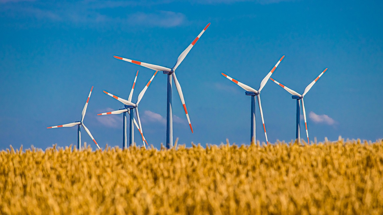 This 'Green' Innovation Might Be Doing More Harm Than Good
