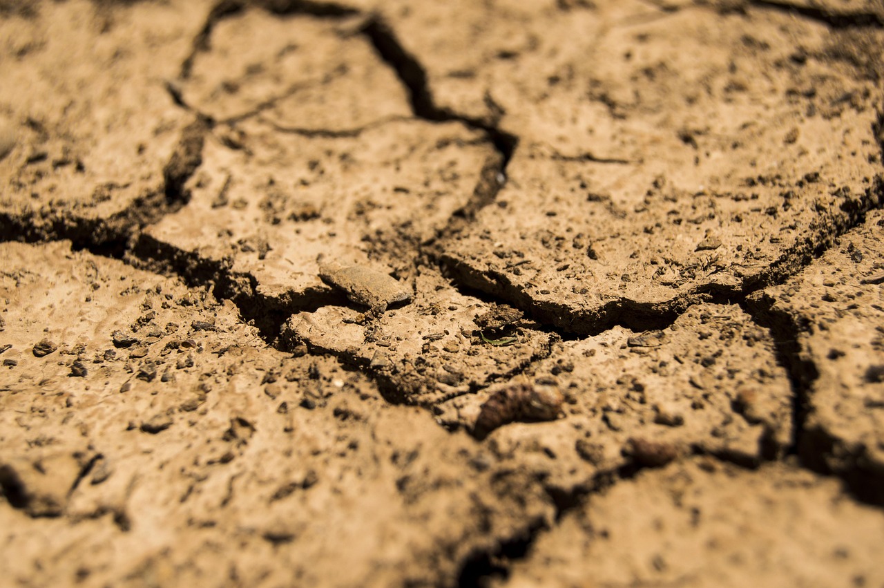 Are Drought Forecasts Too Optimistic? The Risks We May Miss