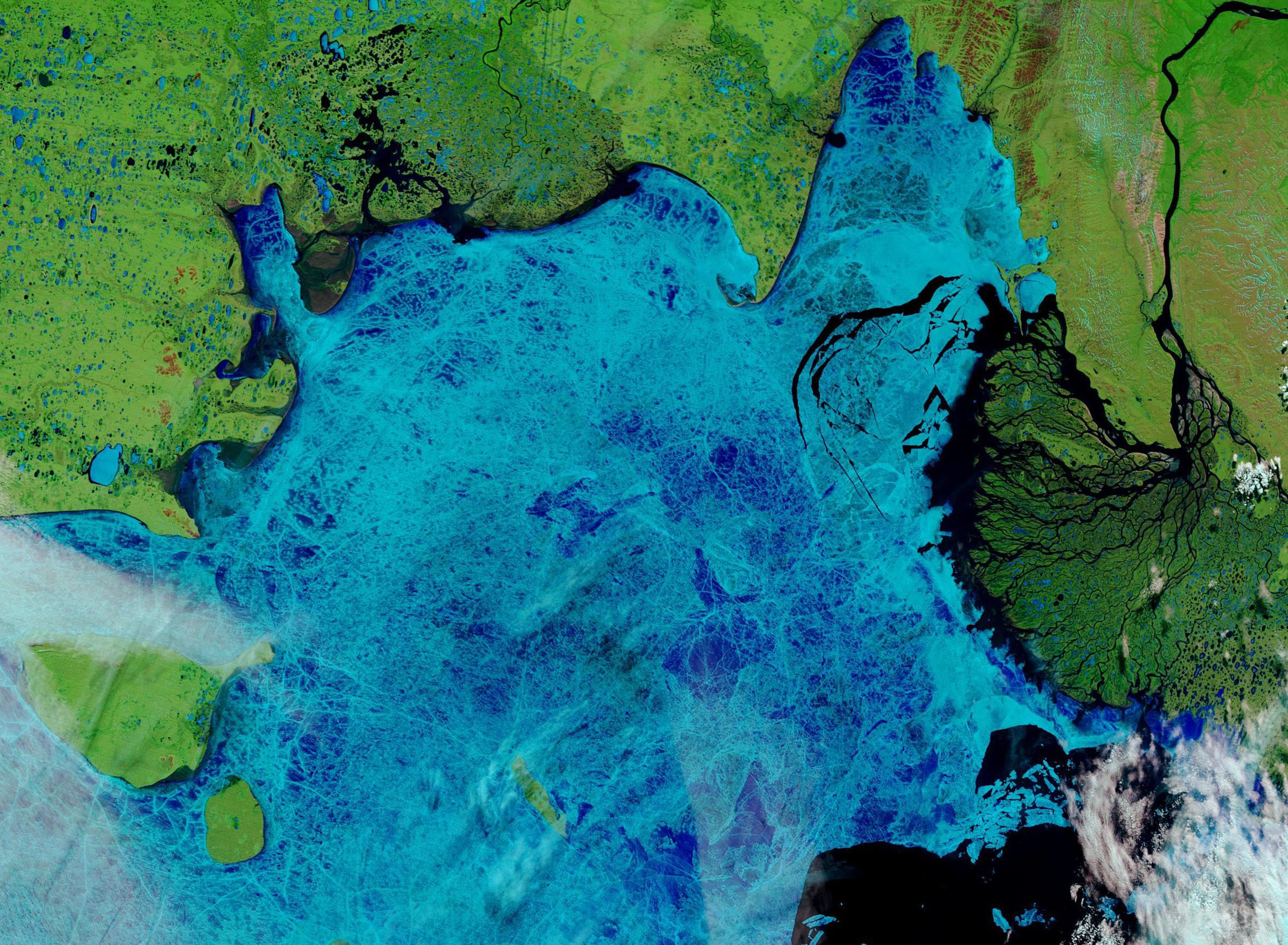 What Melting Permafrost Might Release Into the Ecosystem