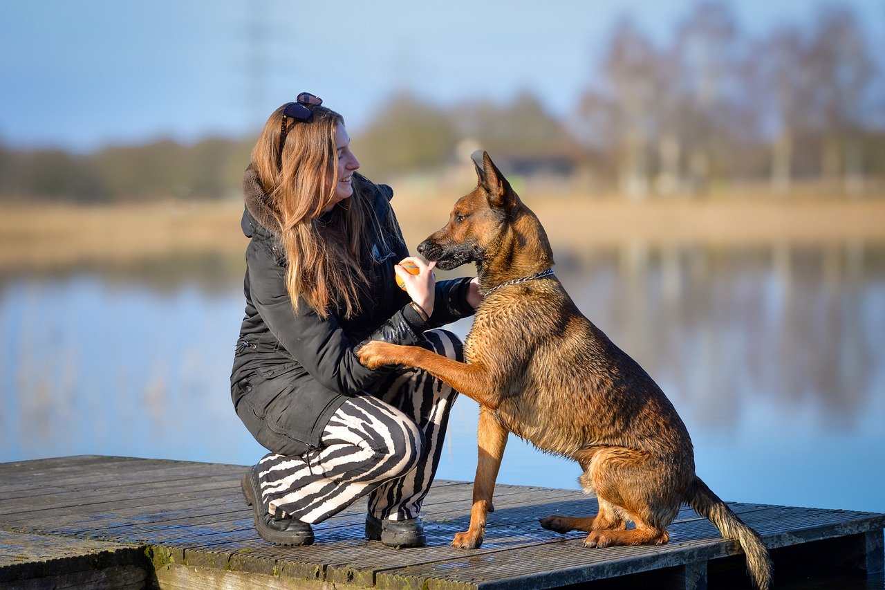Could Climate Change Kill the American Dream of Owning a Pet?