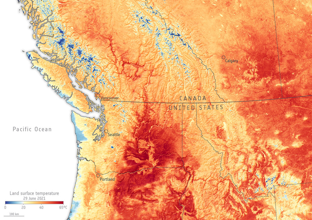The Climate Forecast Debate Heats Up: Are Some Models Overstating the Risks?