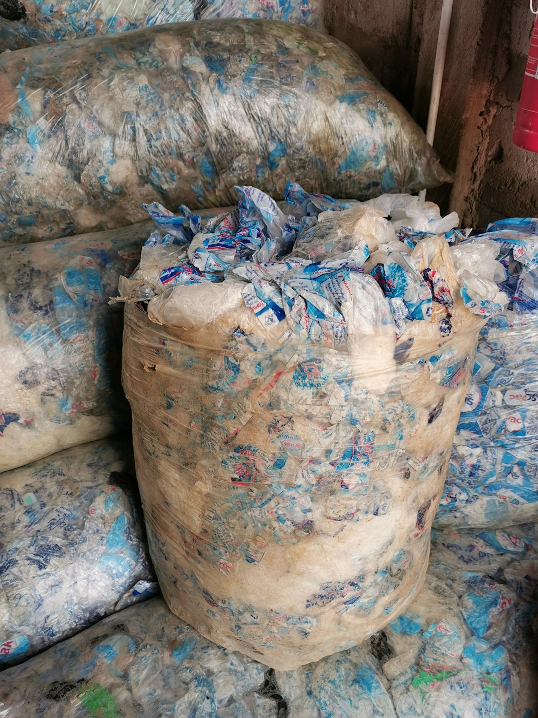 "Why I Gave Up Recycling—and What It Taught Me About Waste"