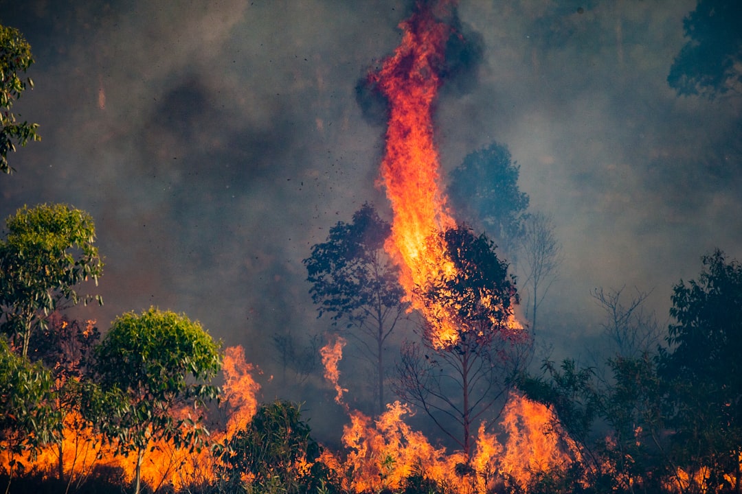 10 Countries Where "Normal Weather" Is History
