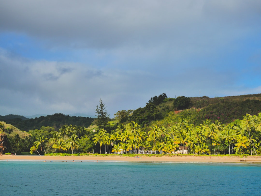 Australia Wins Key Climate Case Against Island Residents
