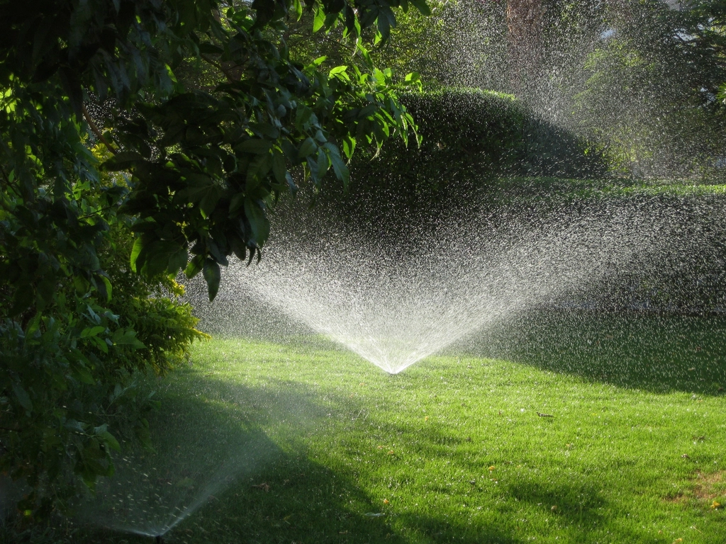 13 Common Mistakes People Make to Their Lawn in Dry Heat—Yet Many Don't Know