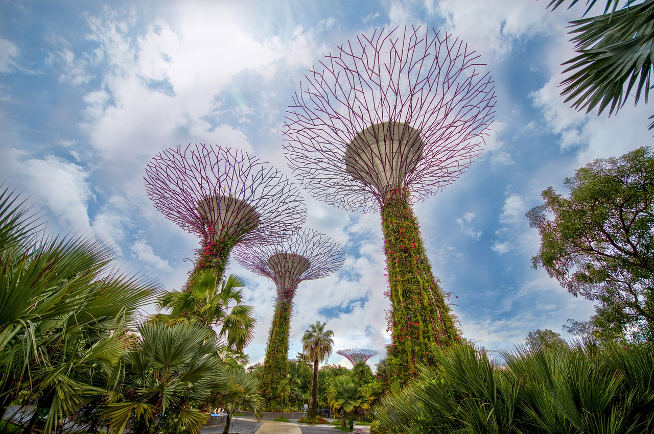 Singapore's Gardens by the Bay Uses Rainwater to Grow Plants