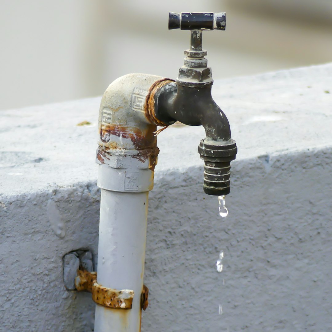 A Guide To Sustainable Water Management Practices For Households