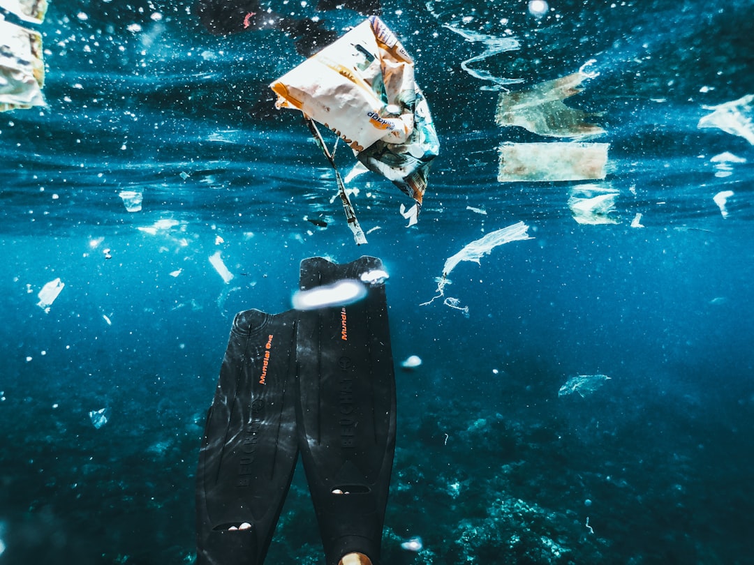 The Effects Of Microplastics On Marine Life And Human Health