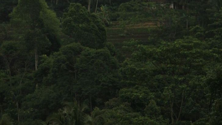 Rivers of the Amazon Basin and Their Connection to Global Rainfall