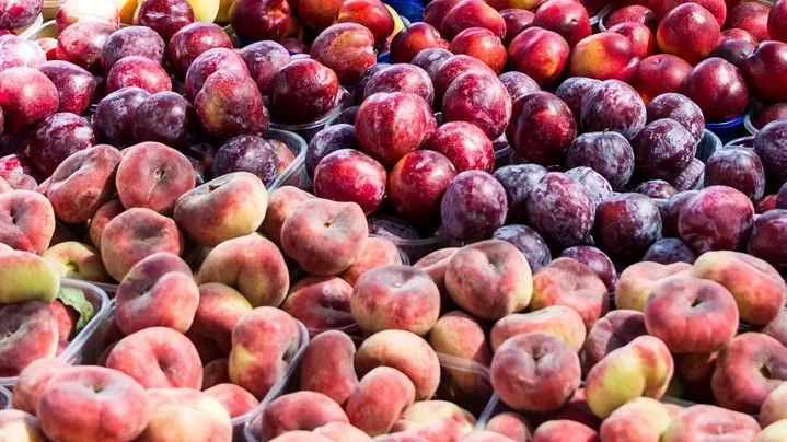 Why Local Food Systems Can Support Healthier Communities