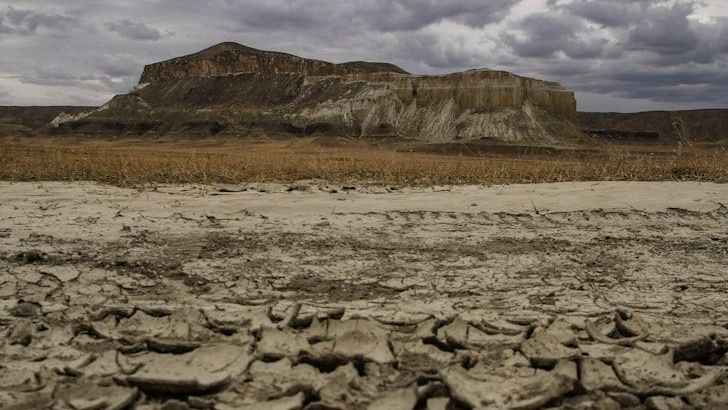 Cycles in Nature That Keep the Planet in Balance