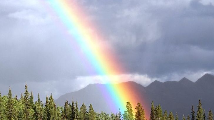 What Causes Rainbows And Why They're Always Curved