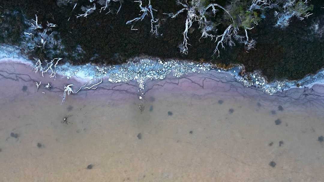 What Ancient Lake Beds Teach Us About Past Rainfall Patterns