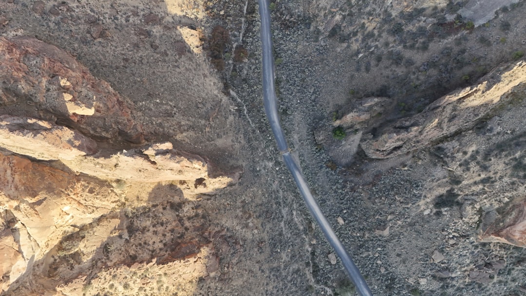 Why Not Bury Power Lines?