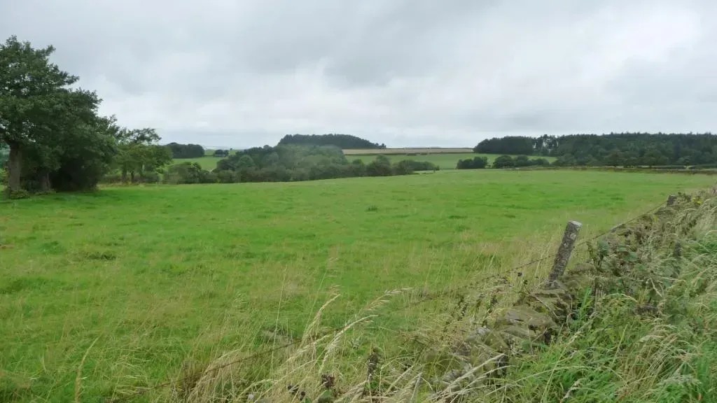 Northern Frontier Shift: Why Canada's Far North Is Drawing U.S. Farmers