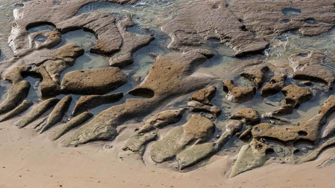 10 Things You Didn't Know About Ancient Climate Records Hidden in Geological Layers