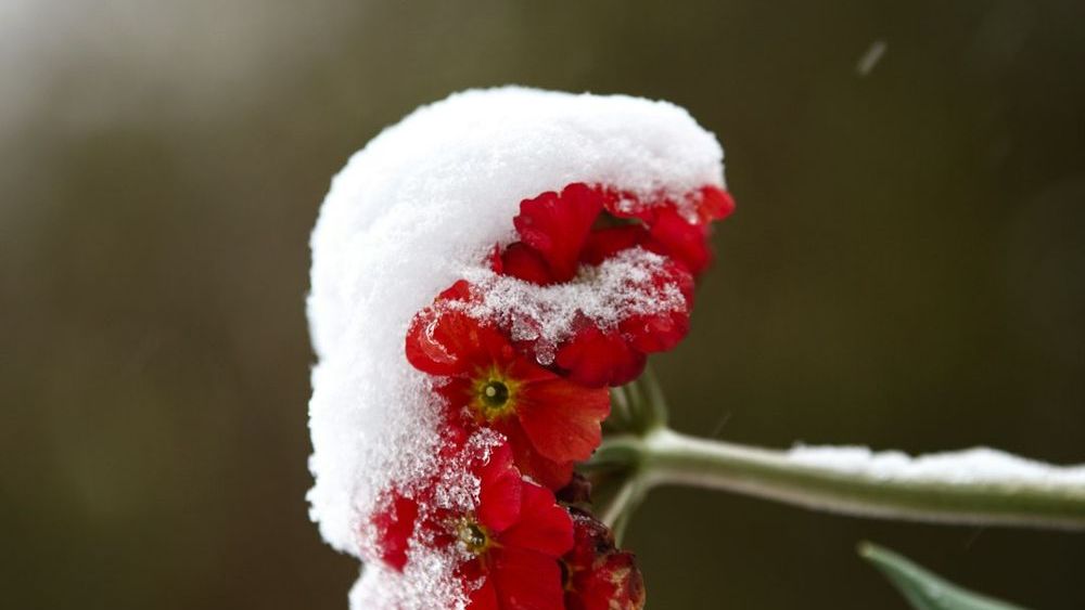 When Winter's Coldest Stretch Actually Ends in Major U.S. Cities