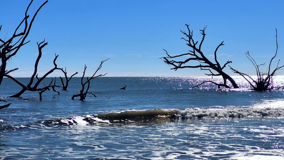 I Asked ChatGPT Which Coastal Cities Are Most Vulnerable to Sea-Level Rise - Here's What It Found