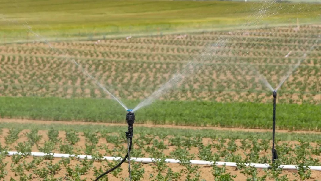 Why Some Homeowners Are Turning Off Their Irrigation Systems - And What It Means for Water Use
