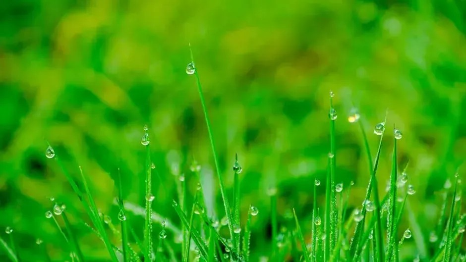 7 Weather Sayings Older Generations Still Use - And Why Some Experts Disagree