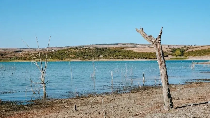 10 Natural Resources Experts Say We're Using Too Fast