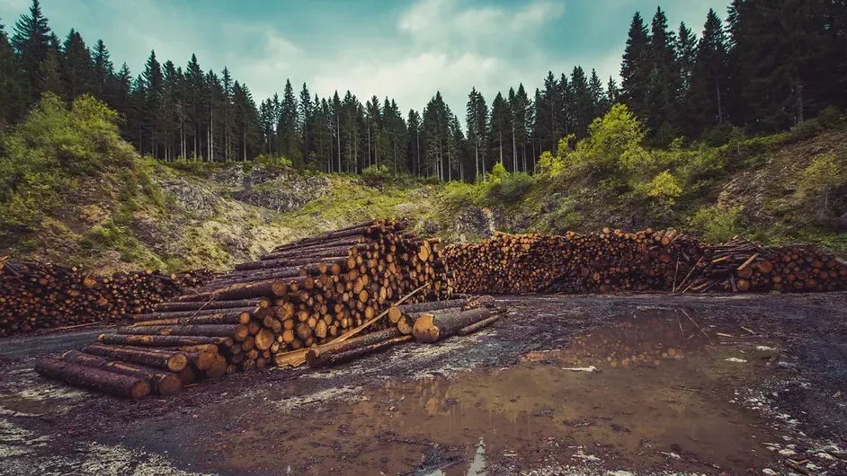 8 Everyday Habits Experts Say Are Quietly Worsening Environmental Damage