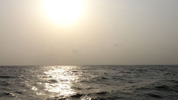 9 Environmental Changes Experts Say Are Pushing Ecosystems to the Edge