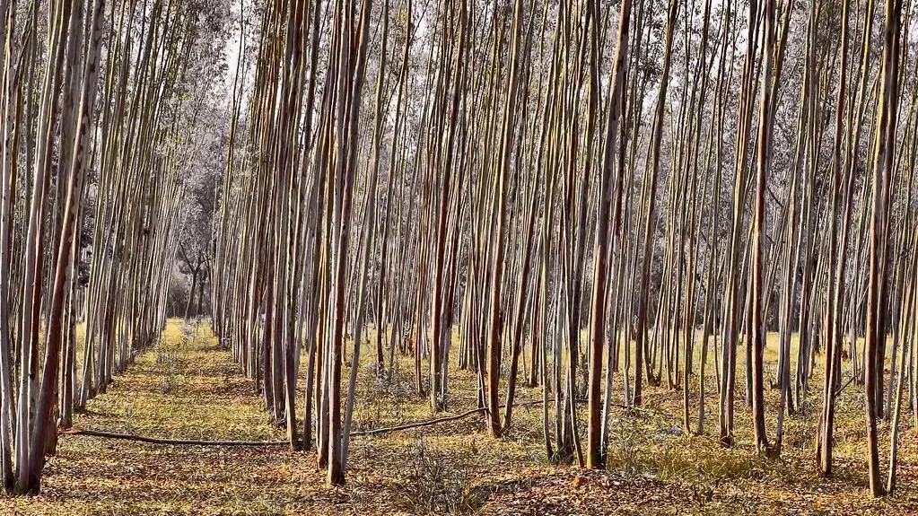 7 Climate Myths That Scientists Say Need to Be Retired