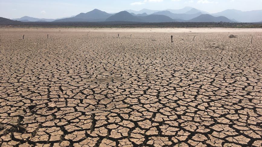 Florida Facing One of Its Driest Periods in Decades as Drought Intensifies