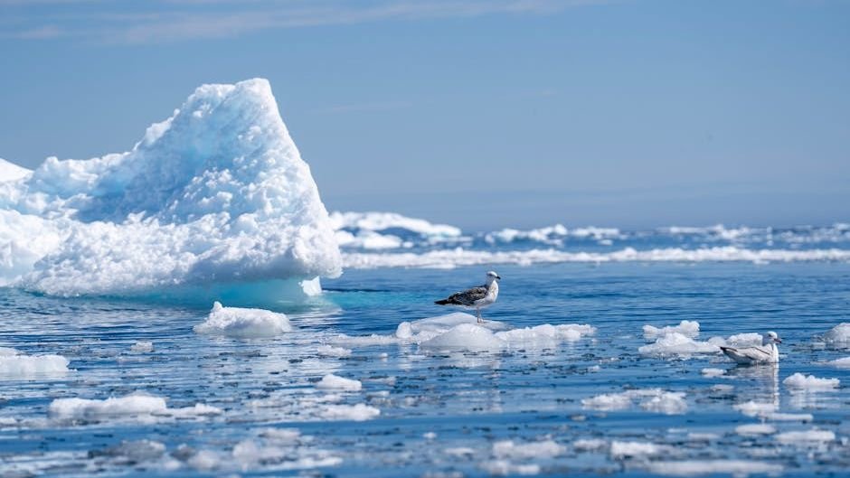 10 Climate Predictions From the 1990s - And What Actually Happened
