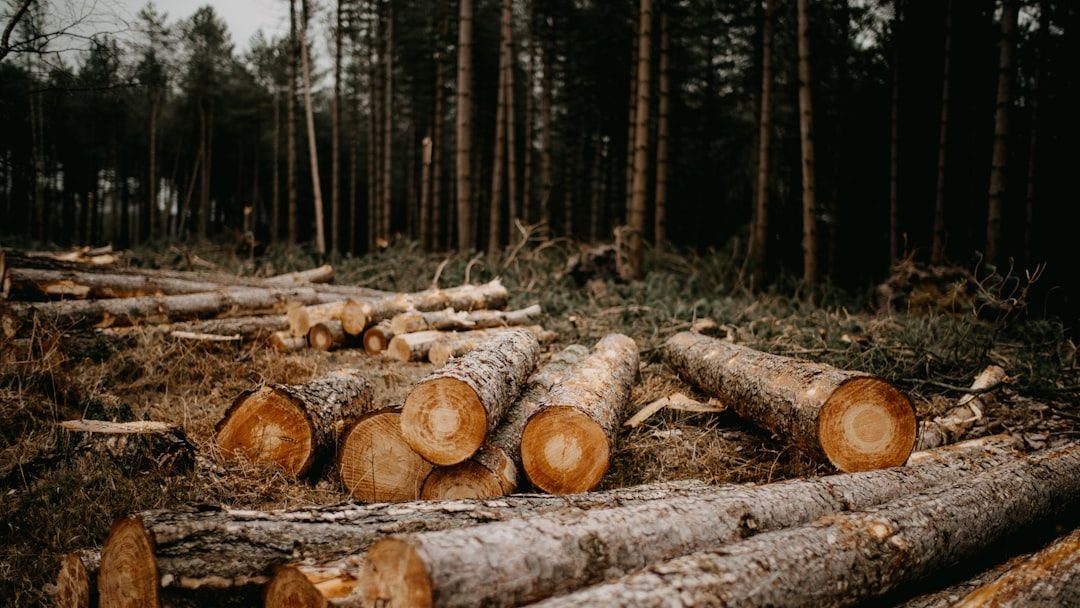 13 Climate Facts That Sound Fake - But Scientists Say They're Real