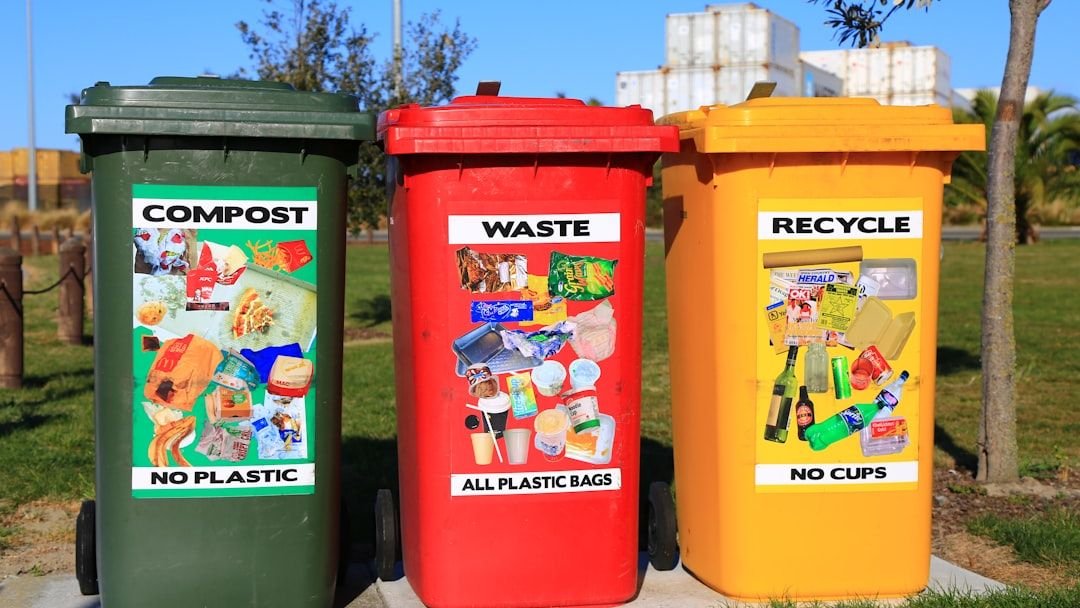 The Recycling Lie: 8 Things You're Sorting That End Up in a Landfill Anyway