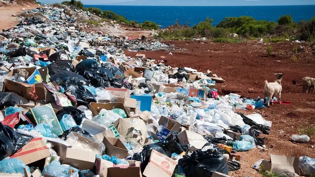 9 "Green" Habits That Are Actually Doing More Harm Than Good, Experts Reveal