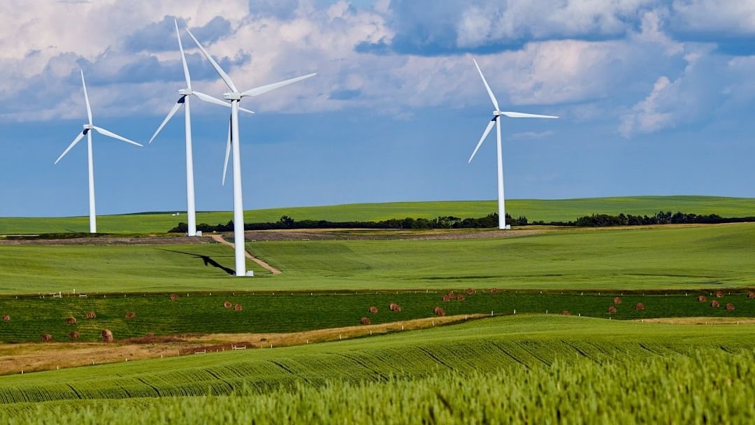 The Hidden Downside of Wind Farms: Why They May Not Be the Clean Fix We Expected