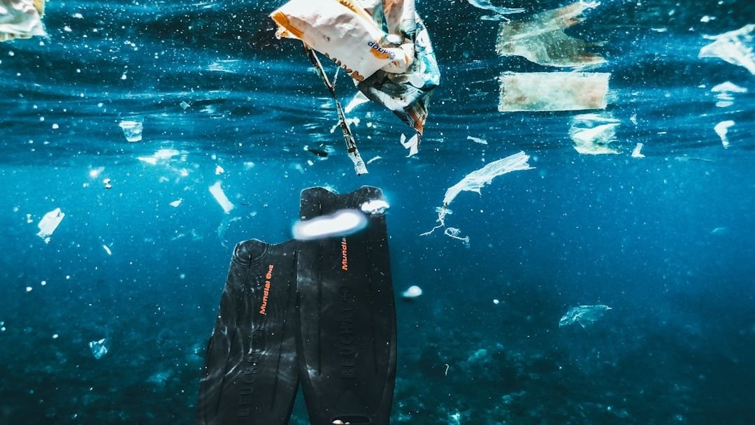 The Ocean's Dirty Secret: What the Great Pacific Garbage Patch Is and Why Cleaning It Up Feels Impossible