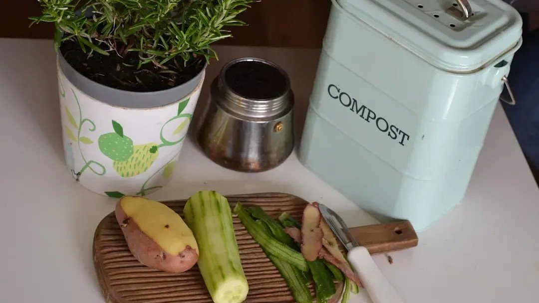 9 Things Sustainability Experts Do at Home That Look Nothing Like Influencer Content