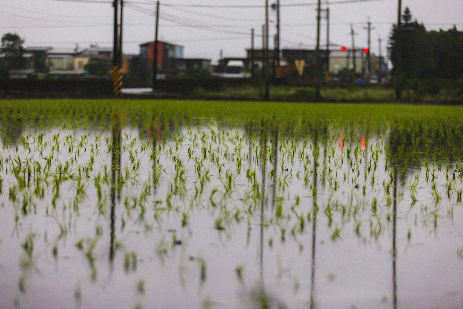The Real Cost of Ignoring Flood Risk: 7 Numbers That Will Change How You Think About It