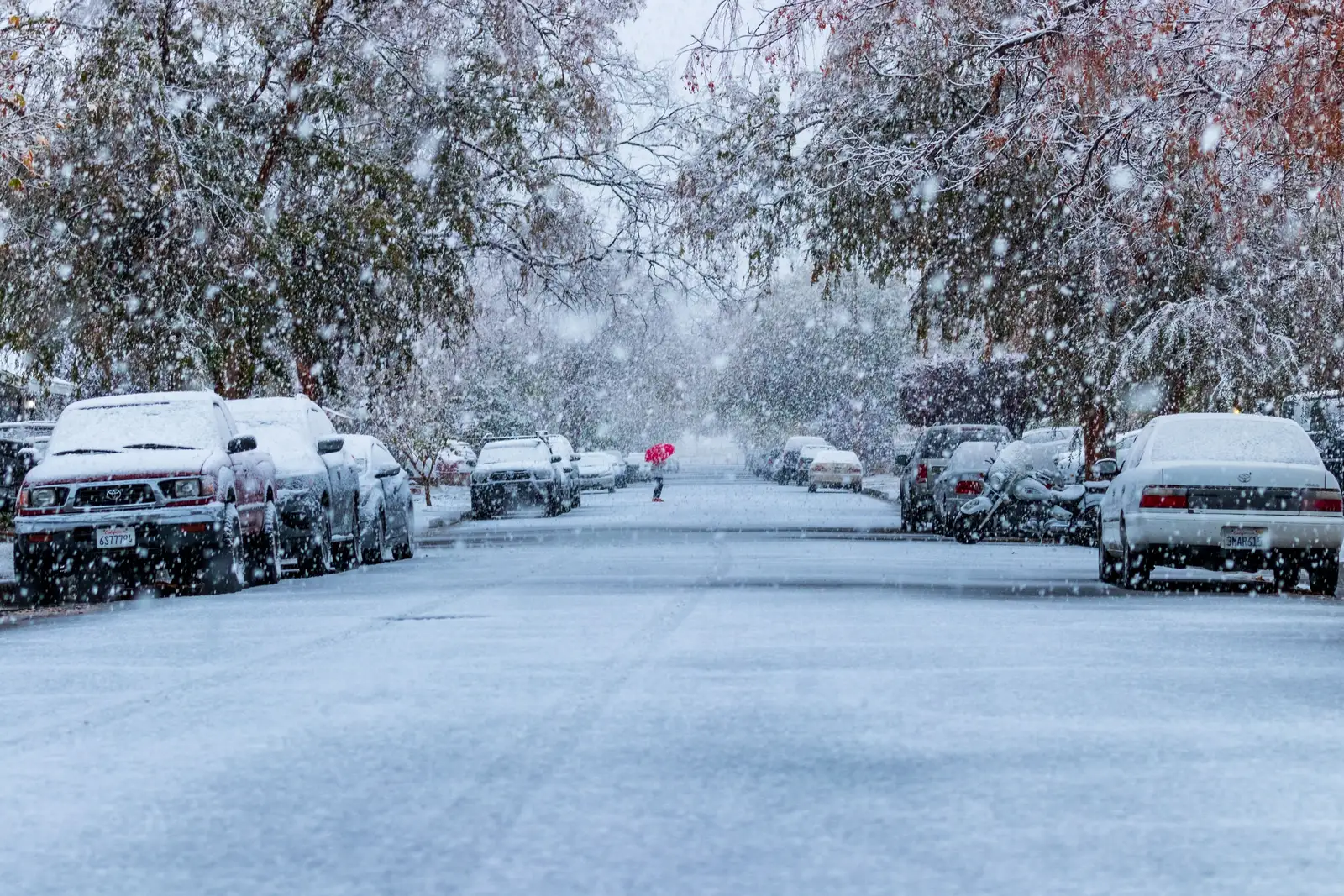 A Climatologist Shares the Signs Pointing to a More Extreme Winter Ahead