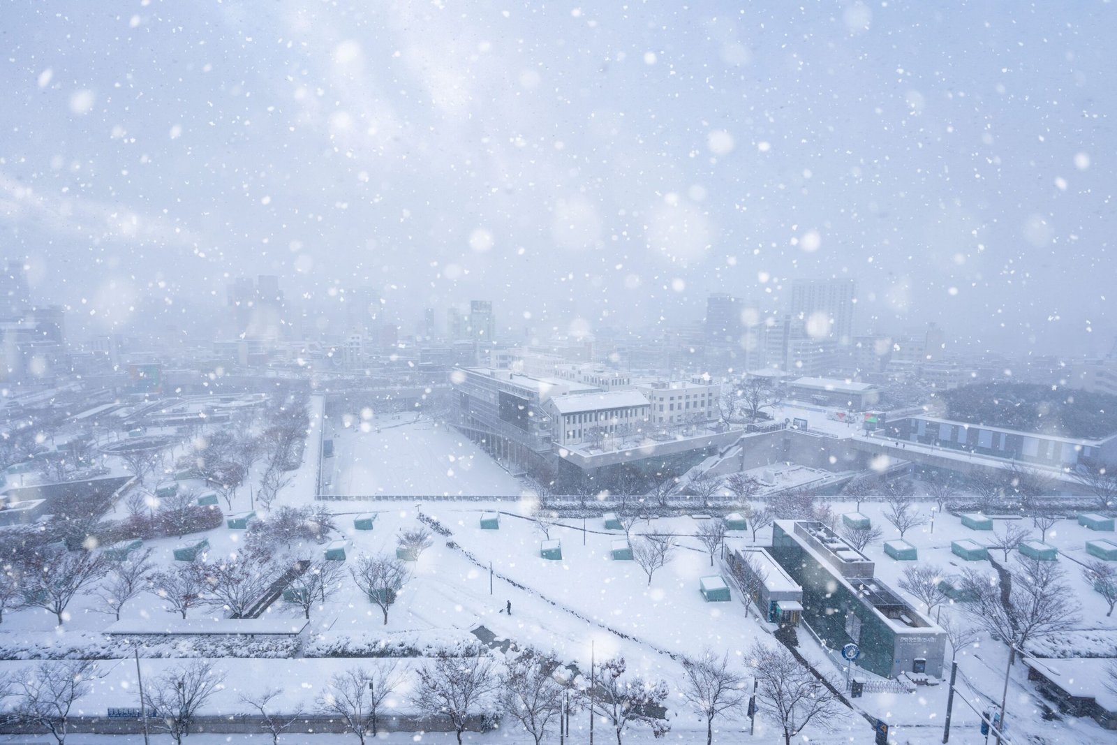 Why the Next Major Blizzard Is Forecast Sooner Than History Predicts – And Where It Will Hit