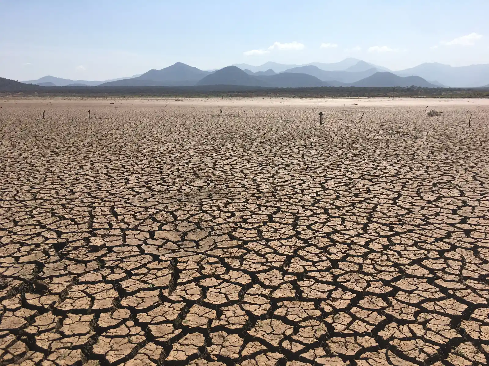 I Asked Claude Which States Will Be Hit Hardest by Drought – Here's What It Said