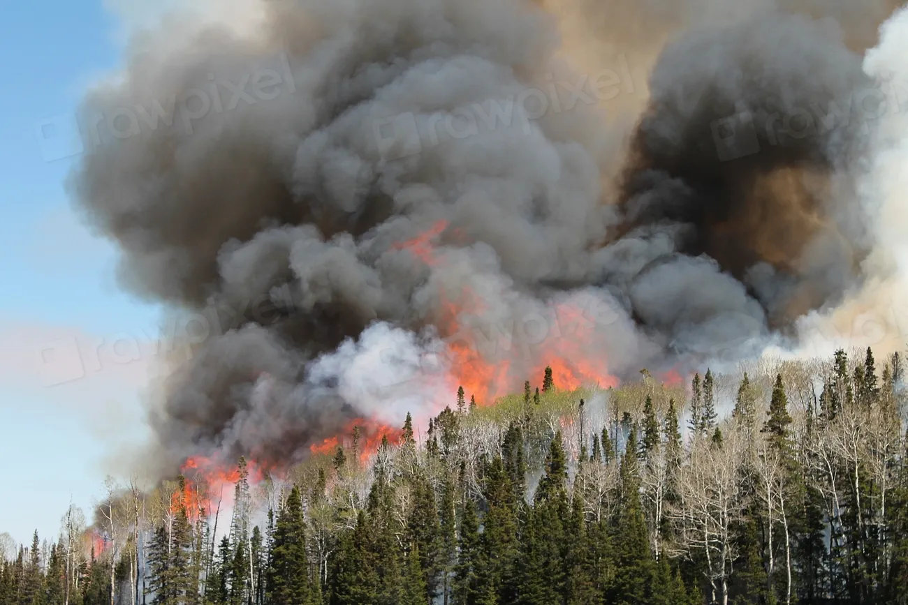 I Asked ChatGPT Which Regions Will See the Worst Wildfire Smoke This Year – Here's What It Predicted