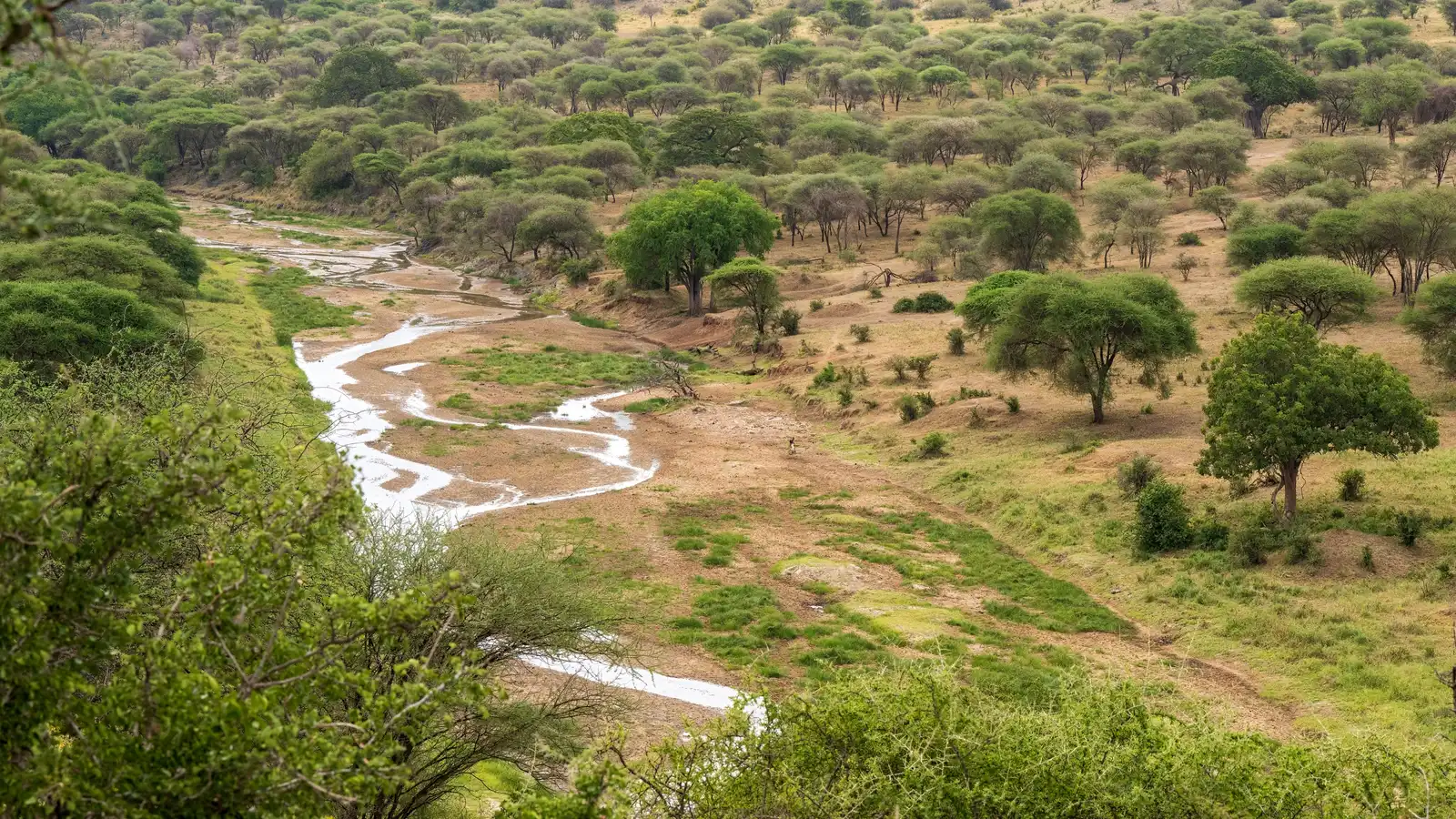 9 Communities Using Nature to Reduce Climate Risks