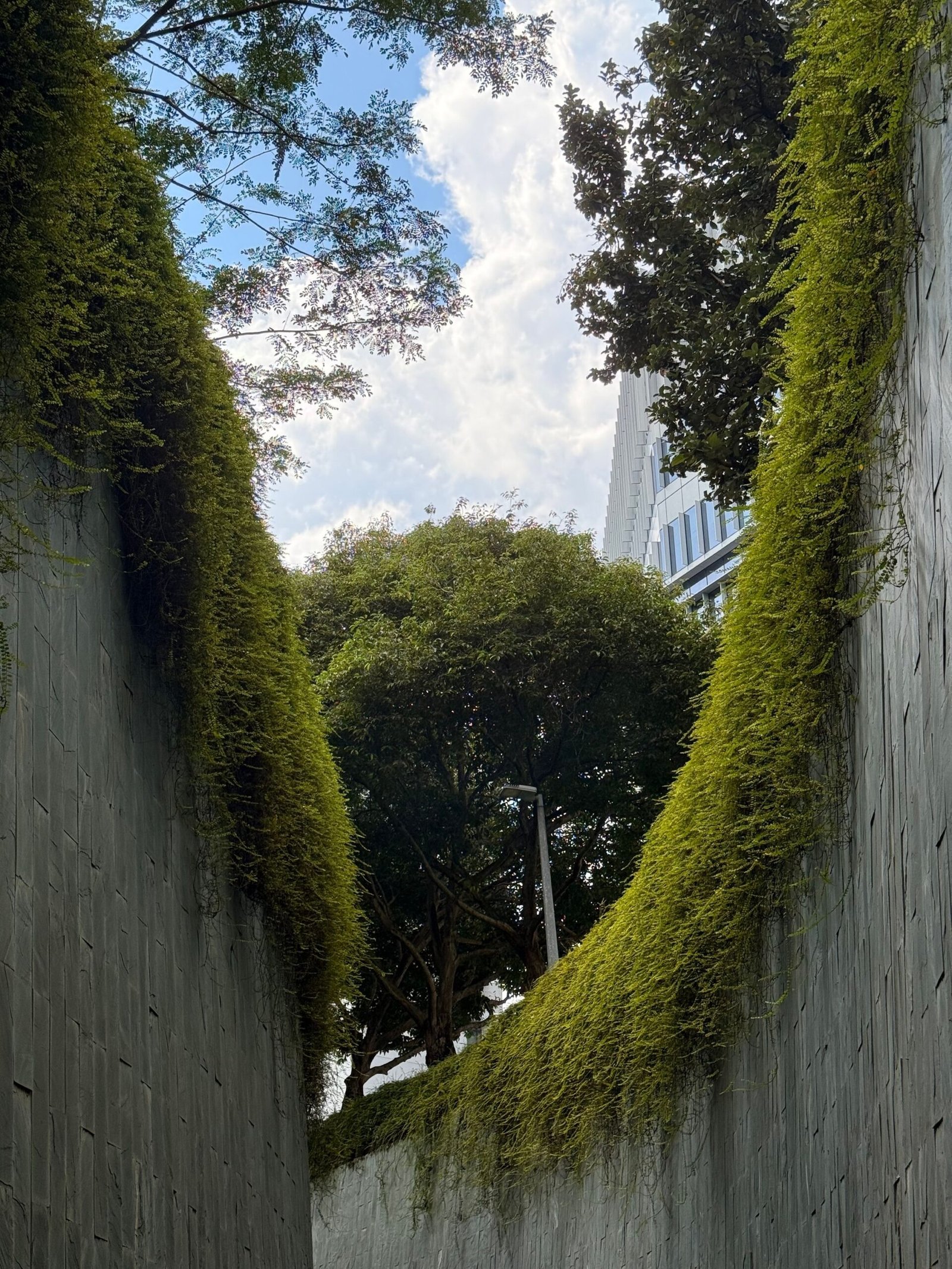 10 Cities Where Green Spaces Are Helping Residents Stay Cooler