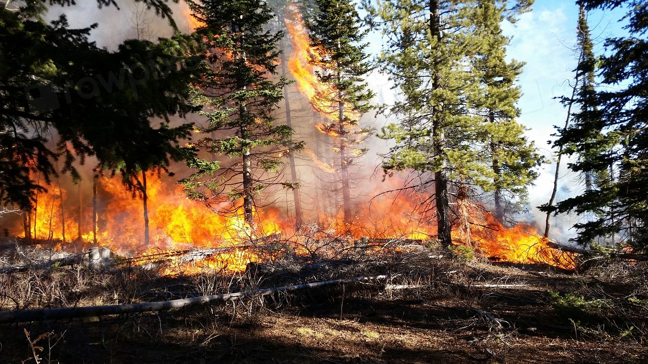 9 States Where Wildfire Risk Is Expanding Into New Areas