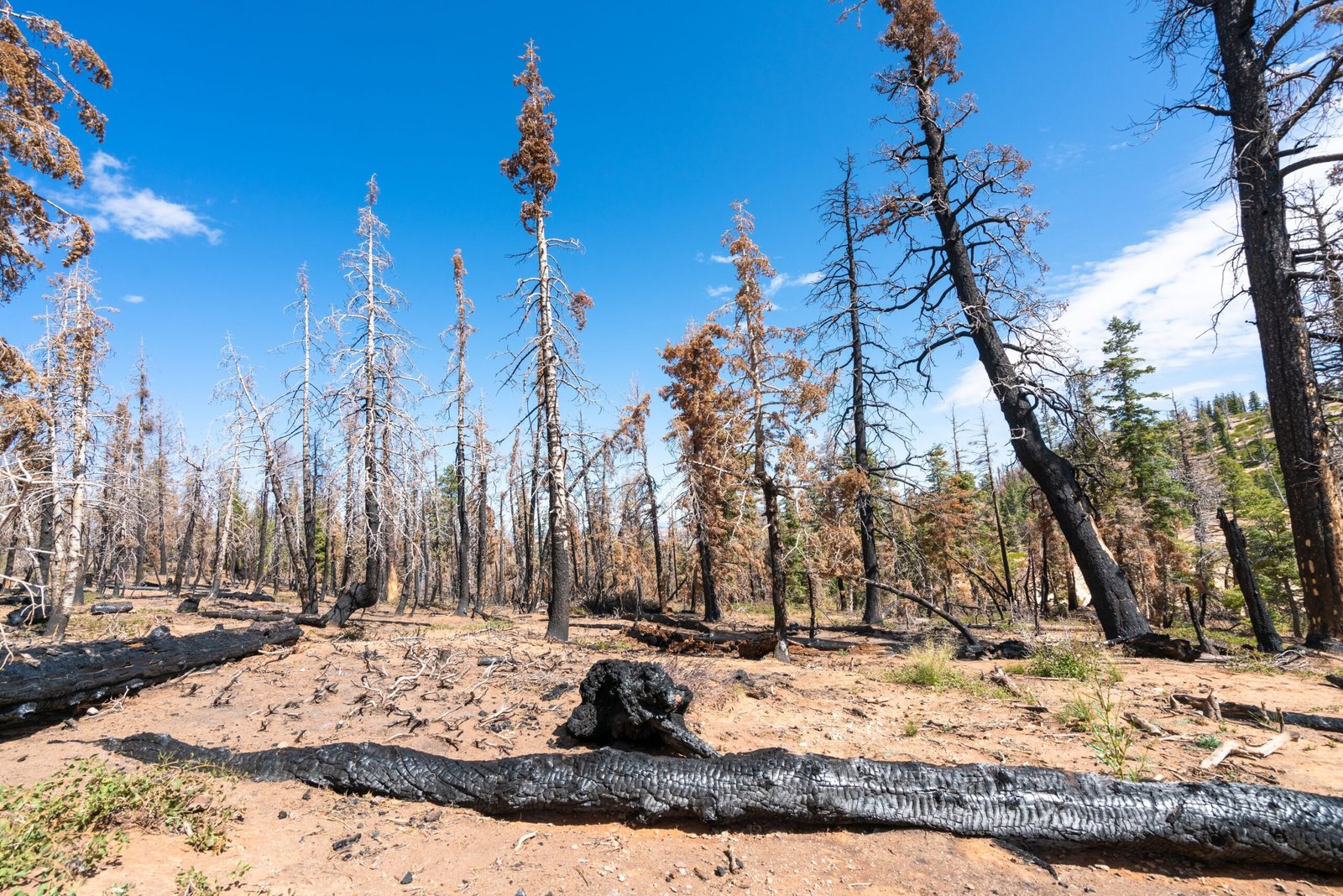 Meet the Region Where America's Next Major Drought Could Develop