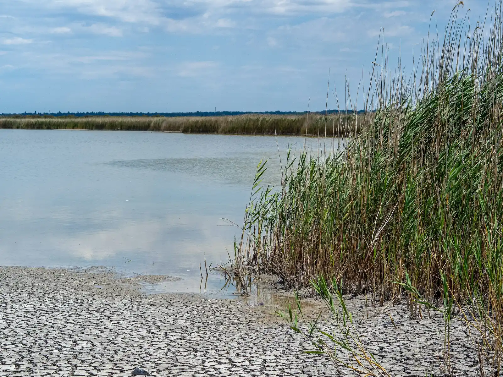 Meet America's Quietest Drought Zone: The State Nobody Saw Coming