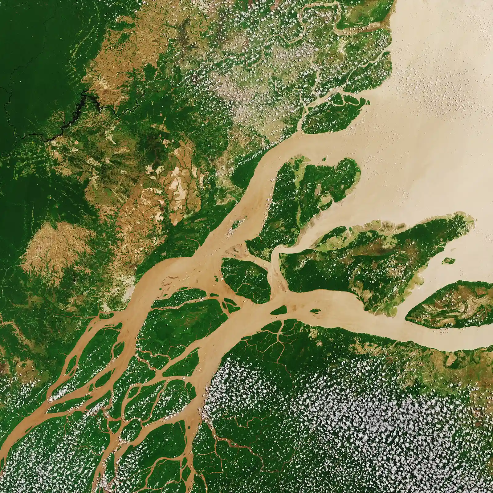 South America's 7 Longest Rivers, Measured From Source to Mouth