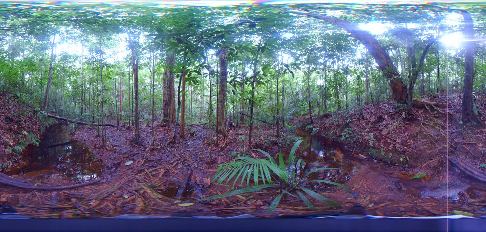 8 South American Climate Scientists Who Changed How We Understand the Amazon