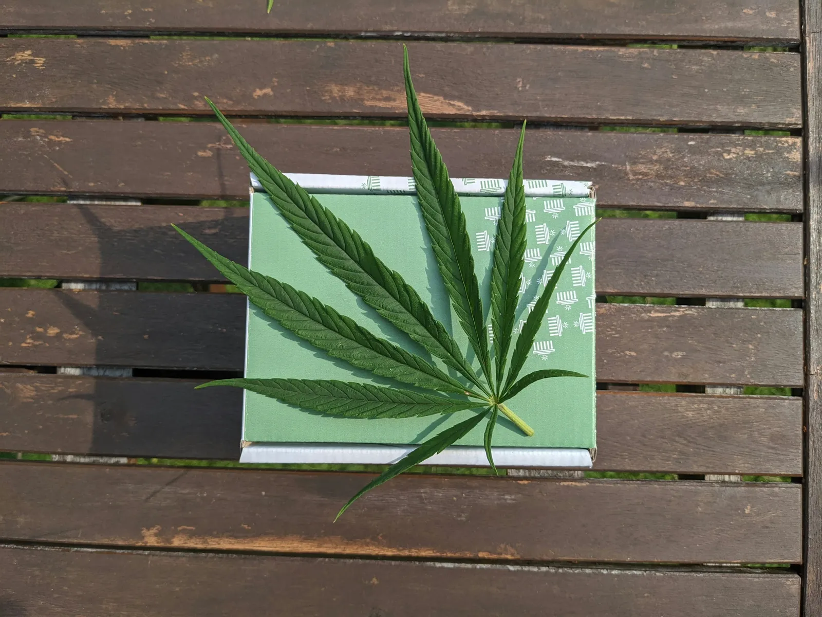 The "Green Label" Trap: Why Products With Leaf Logos Aren't Always Sustainable