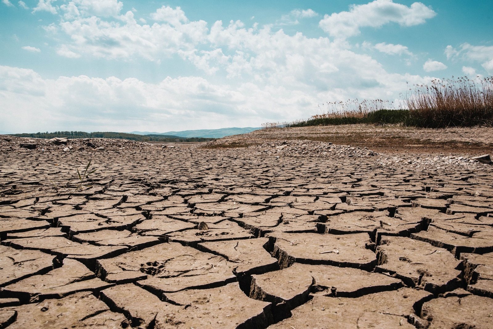 The World's Droughts Aren't Spread Evenly - Here's Where They're Hitting Hardest